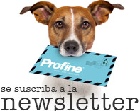 newsletter_es